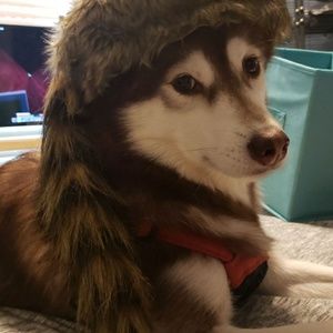 Meet your Posher, Katelyn